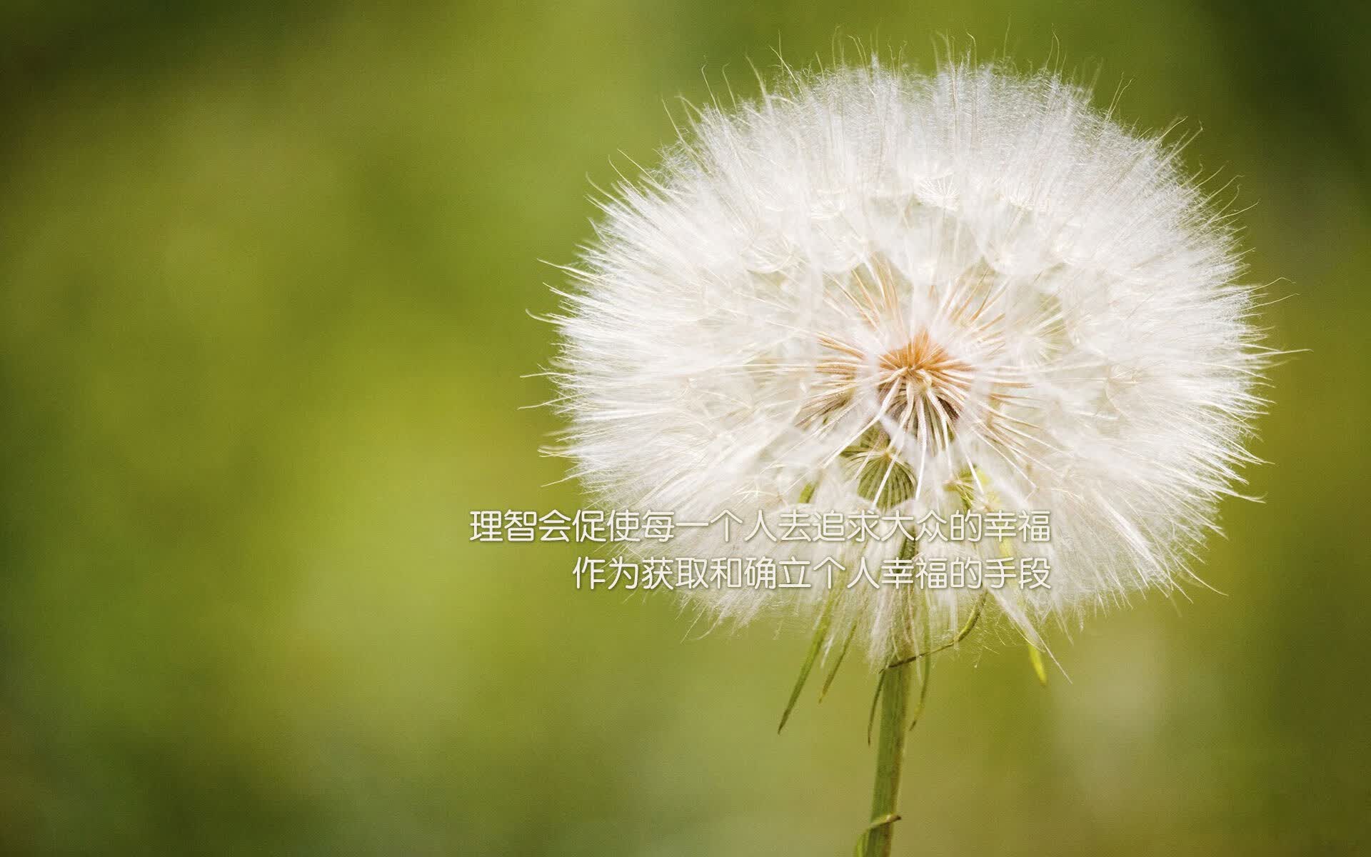 2070年的世界杯会是什么样的？，2020年的世界杯什么